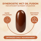 Close up of Lirae Ceylon cinnamon softgels with MCT oil label