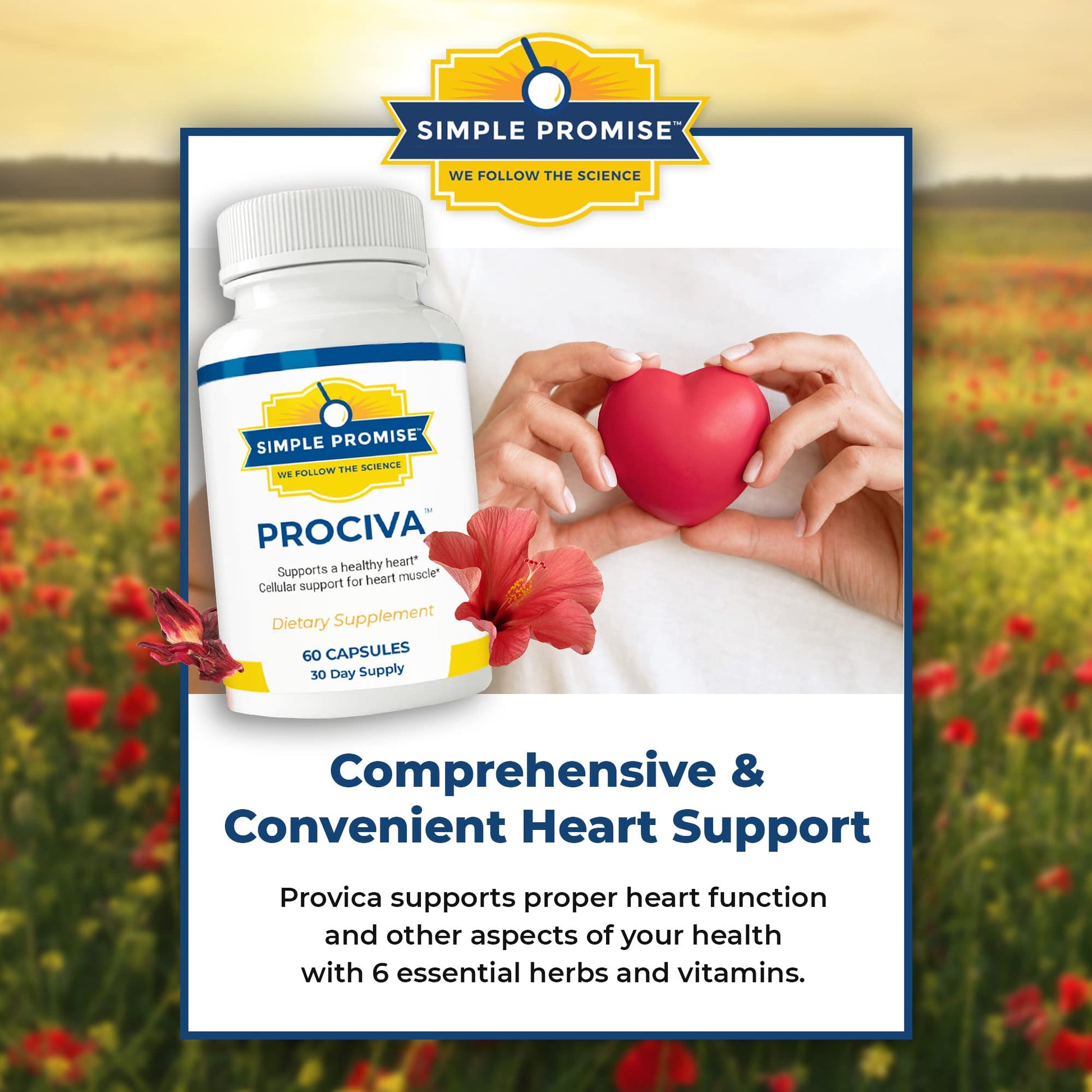 Close up of the imported Simple Promise Prociva capsules for healthy blood pressure support.