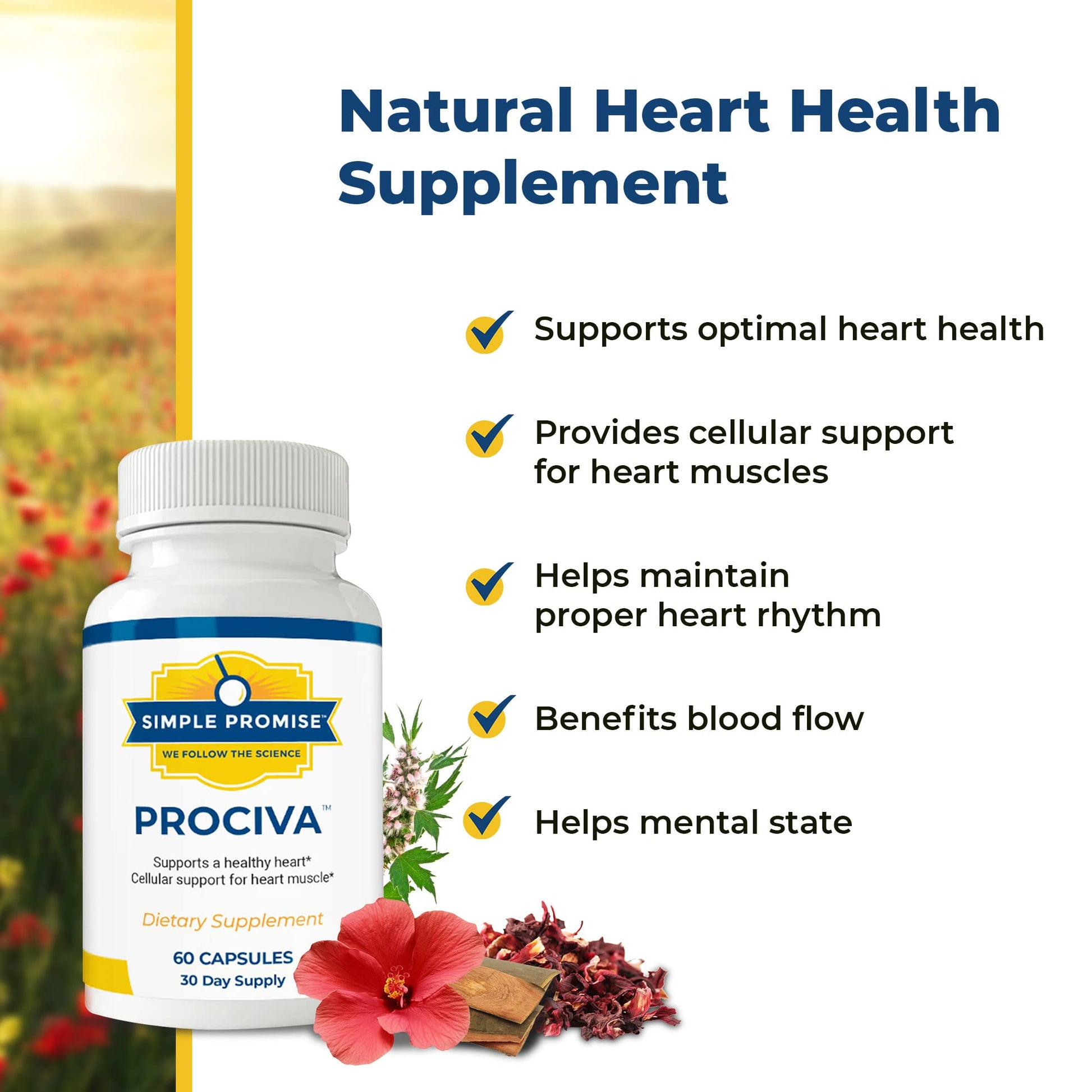 Authentic USA imported Simple Promise Prociva heart health bottle showcasing the premium herbal blend.