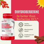 Natures Fusions Dihydroberberine 60 count bottle packaging