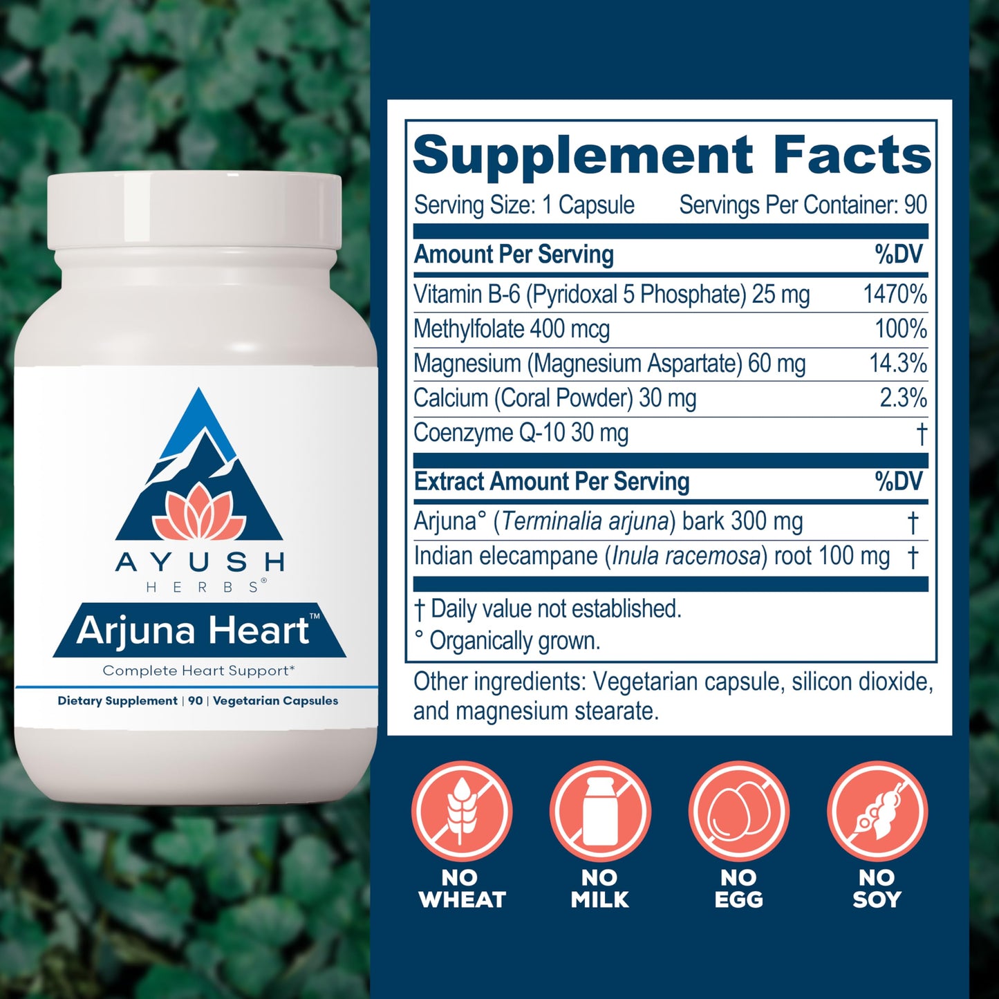 Close up view of Ayush Herbs Arjuna Heart supplement for premium cardiac care.