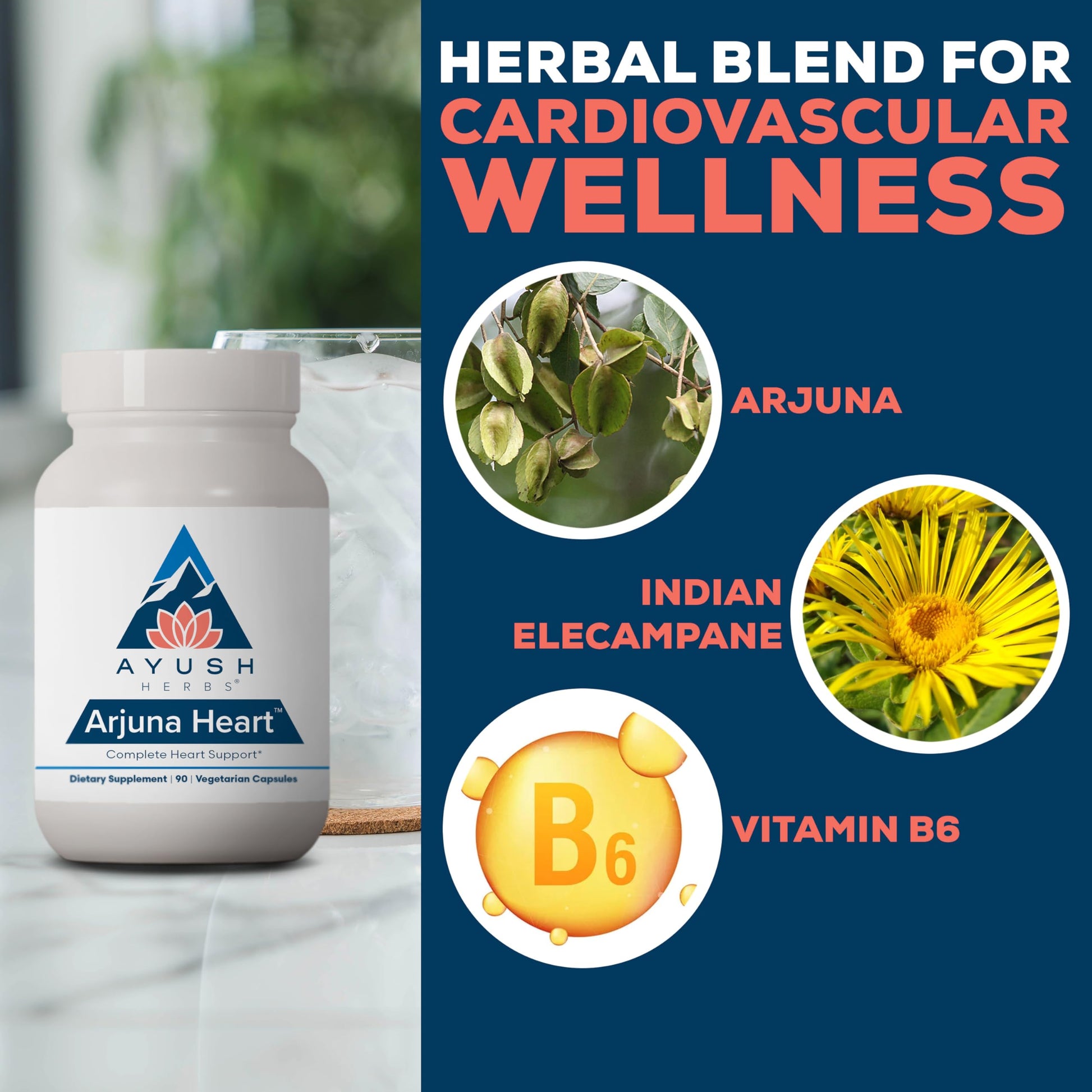 Back label of Ayush Herbs Arjuna Heart showing magnesium and coenzyme Q10 blend.