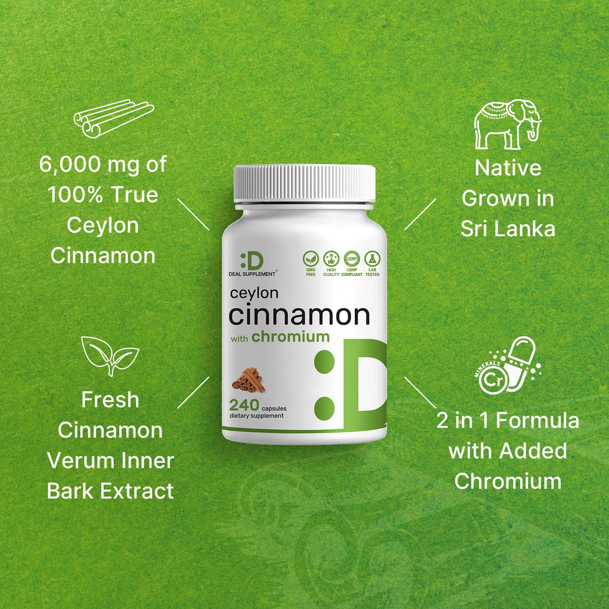 Deal Supplement Ceylon Cinnamon 240 count bottle next to serving size