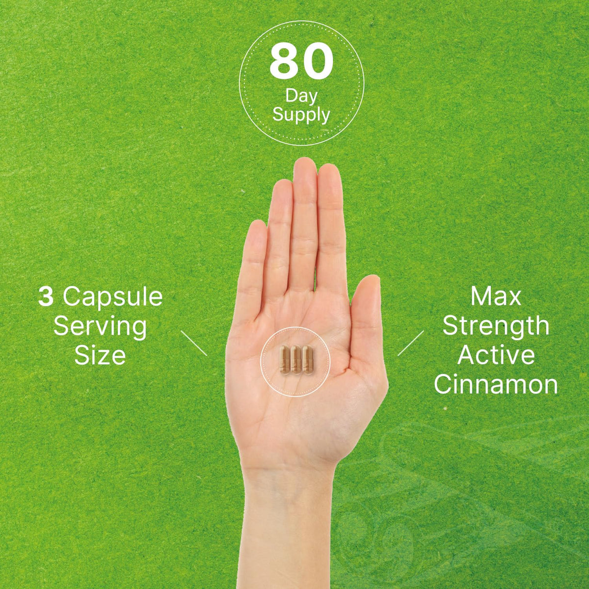 Clinical quality bottle of Deal Supplement Ceylon Cinnamon