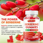 Sugar-free vegan Berberine supplement bottle for metabolic support