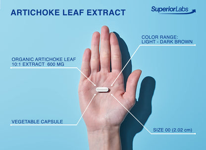 Close-up of Superior Labs 180 vegetable capsules emphasizing clean formulation without artificial fillers.