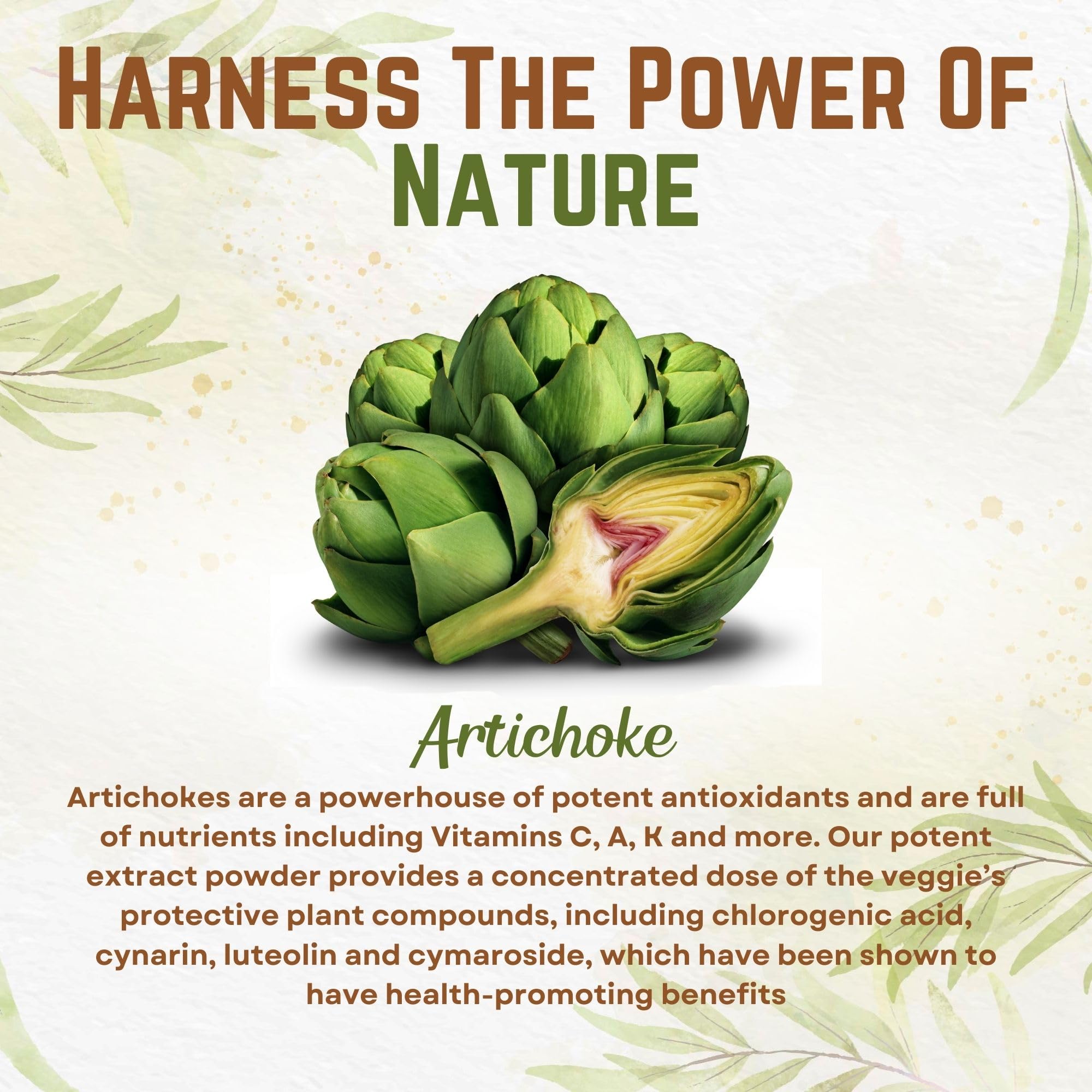 Go Nutra Artichoke Extract supplement back label detailing the serving size and five percent cynarin standardization.