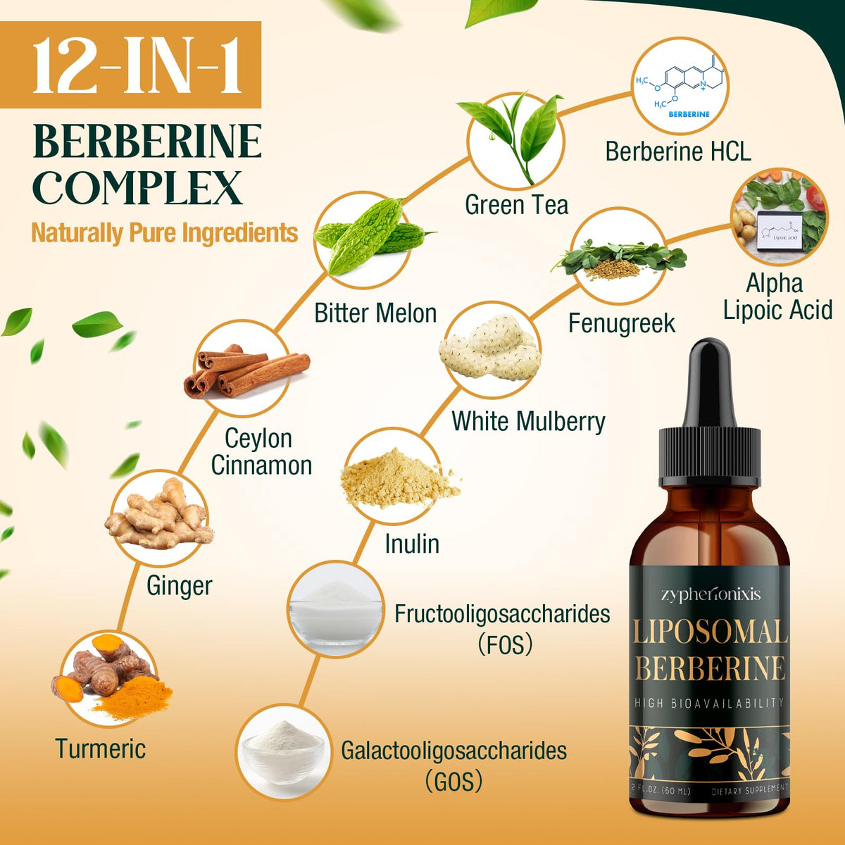 Liquid Berberine drops for high absorption metabolic support