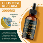 12-in-1 Berberine supplement bottle with ginger and cinnamon