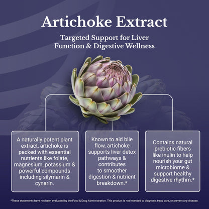 Back label of Nation Health MD Artichoke 500mg supplement showcasing supplement facts