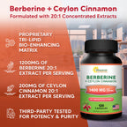 Supplement facts label on ASquared Nutrition Berberine bottle