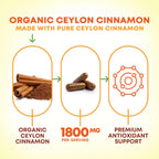 Back of Nature's Nutrition Ceylon Cinnamon bottle showing ingredients