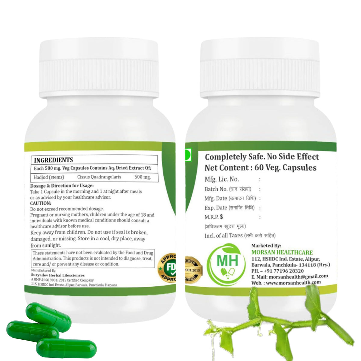 Morsan Healthcare Hadjod five hundred milligram capsules pack of two packaging