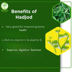 Pure plant based Cissus quadrangularis extract capsules for athletic recovery