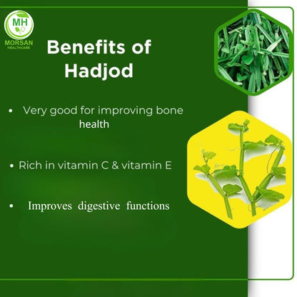 Pure plant based Cissus quadrangularis extract capsules for athletic recovery
