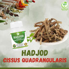 Organic Hadjod extract capsules by Morsan Healthcare for fracture recovery support.