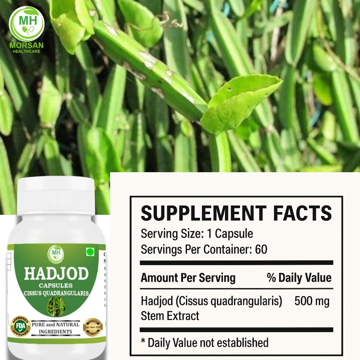 Premium non GMO clean formula vegetarian capsules for daily wellness routines.