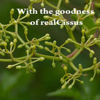 Mi Nature Cissus quadrangularis herbal supplement bottle demonstrating gluten free and non GMO attributes.