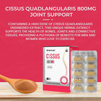 NZ Origin joint support herbal extract bottle with Vitamin B complex info