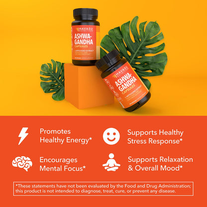 Authentic Havasu Nutrition mood support supplement bottle showing non GMO and GMP facility certifications