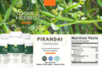 Cissus Quadrangularis 90 vegetarian capsules bottle packaging detail