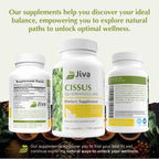 Premium non GMO vegetarian capsules for bone fracture healing support