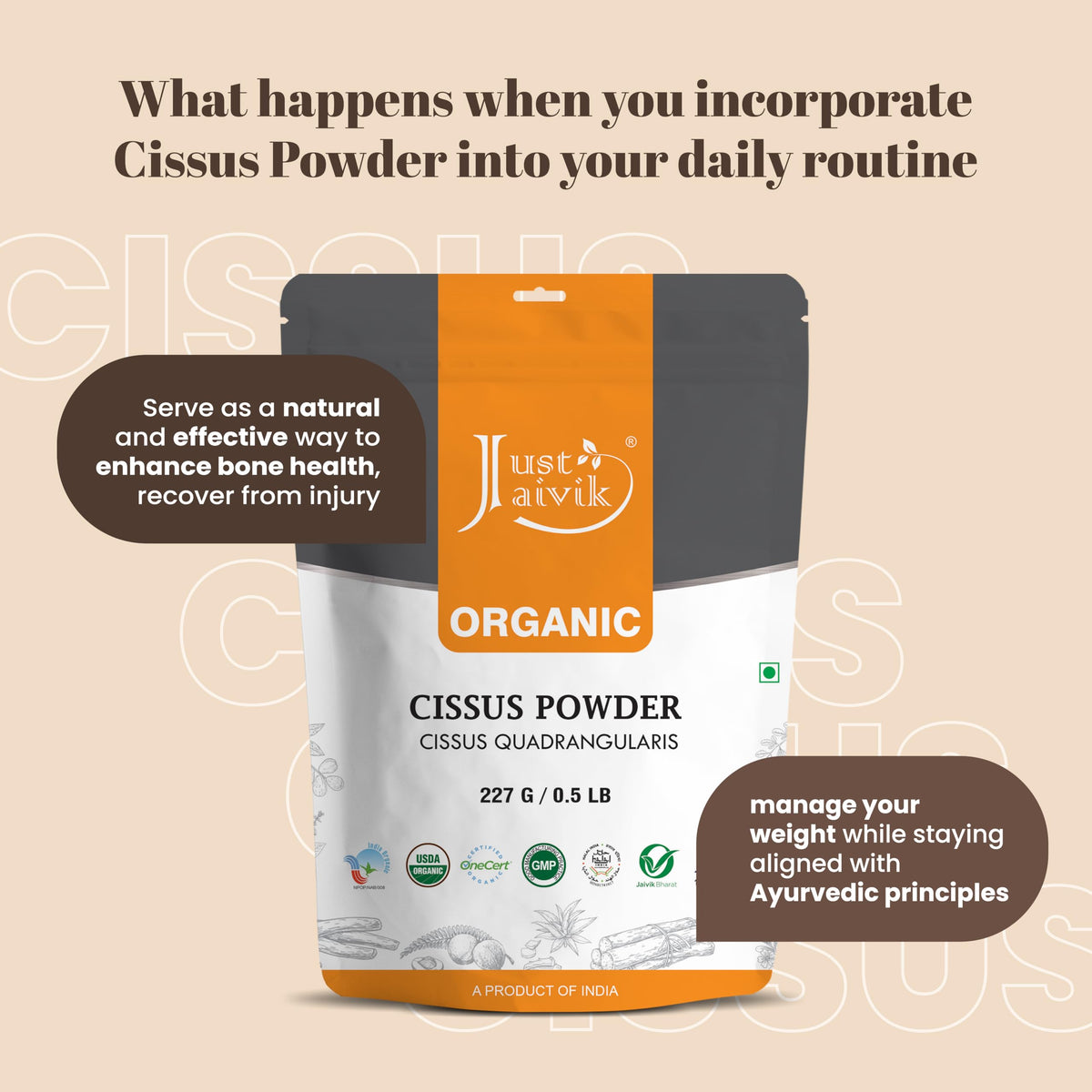 Fine texture view of organic Hadjod herbal powder supplement by Just Jaivik.