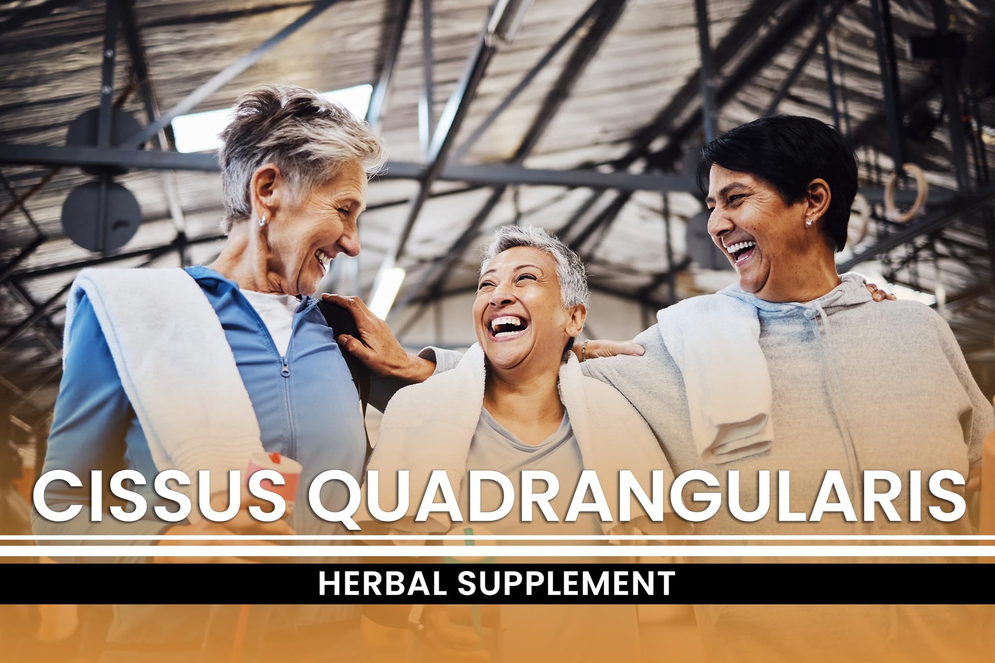 Authentic USA imported Cissus Quadrangularis bottle for bone health support