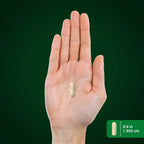 Piping Rock Cissus Quadrangularis 1800 mg herbal extract secure original seal view