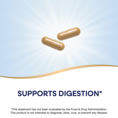 Premium artichoke leaf extract capsules for natural digestive support