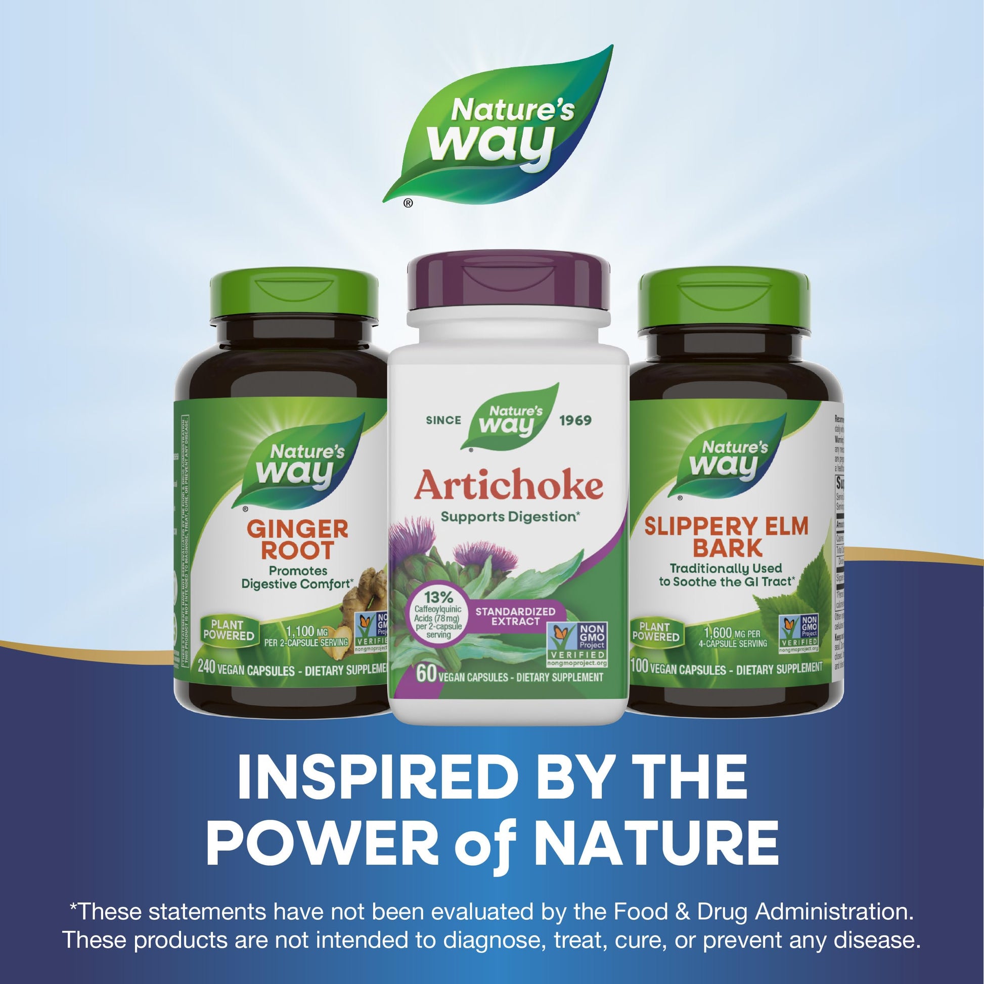 Gluten free plant derived capsules for liver and stomach wellness