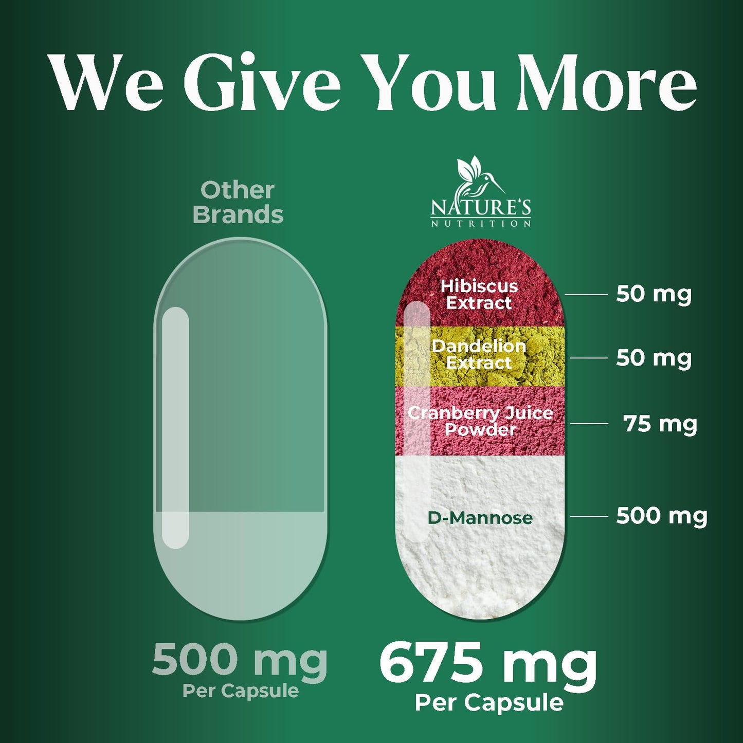Nature's Nutrition Premium Urinary Tract Support Formula