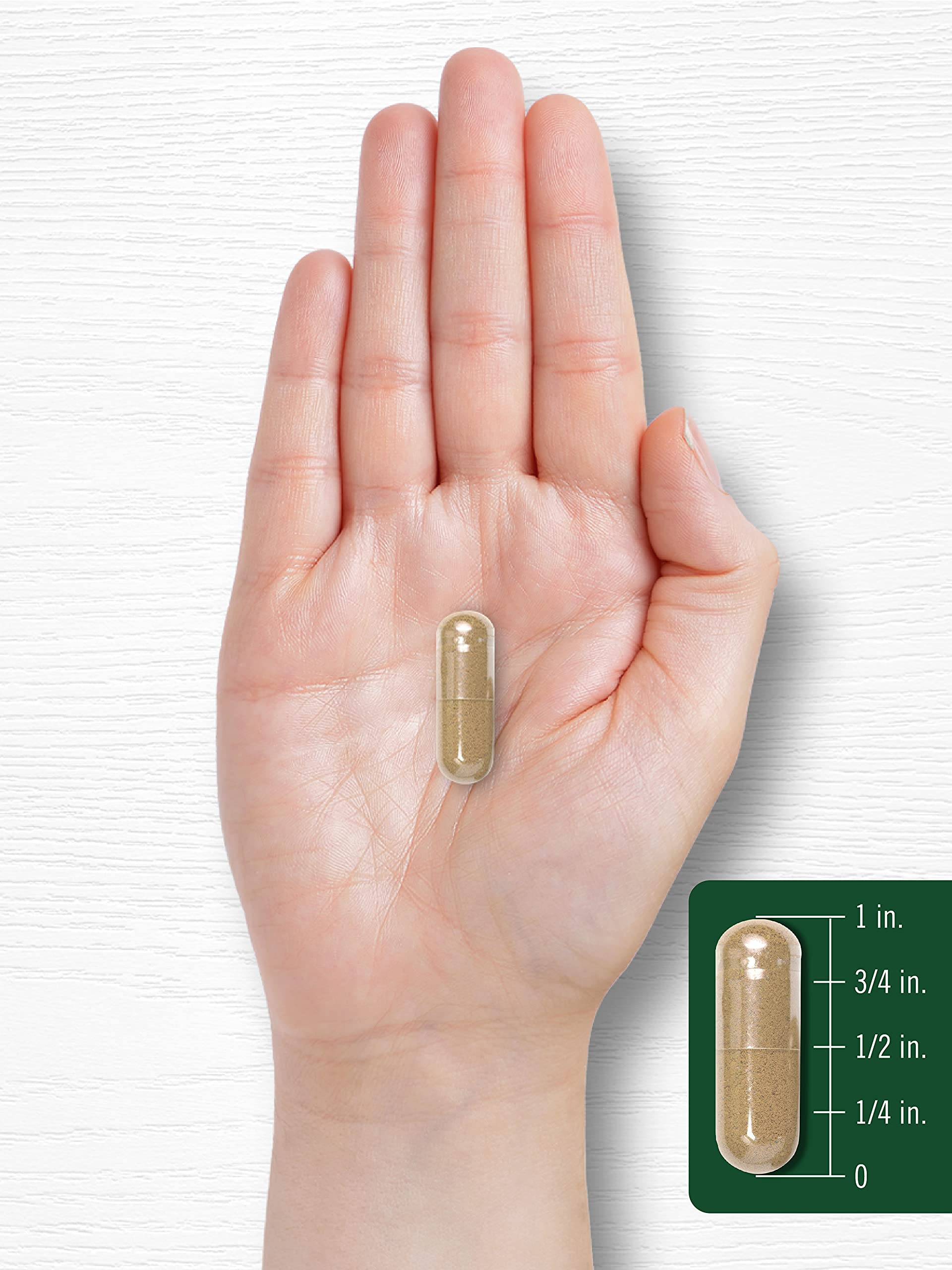 Packaging of Carlyle non GMO artichoke extract capsules depicting the ingredients and laboratory testing guarantee