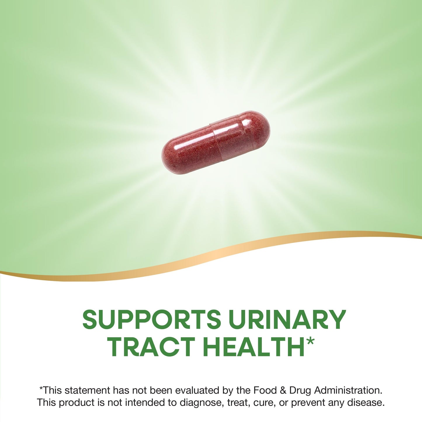 Premium USA imported cranberry capsules for urinary health close up