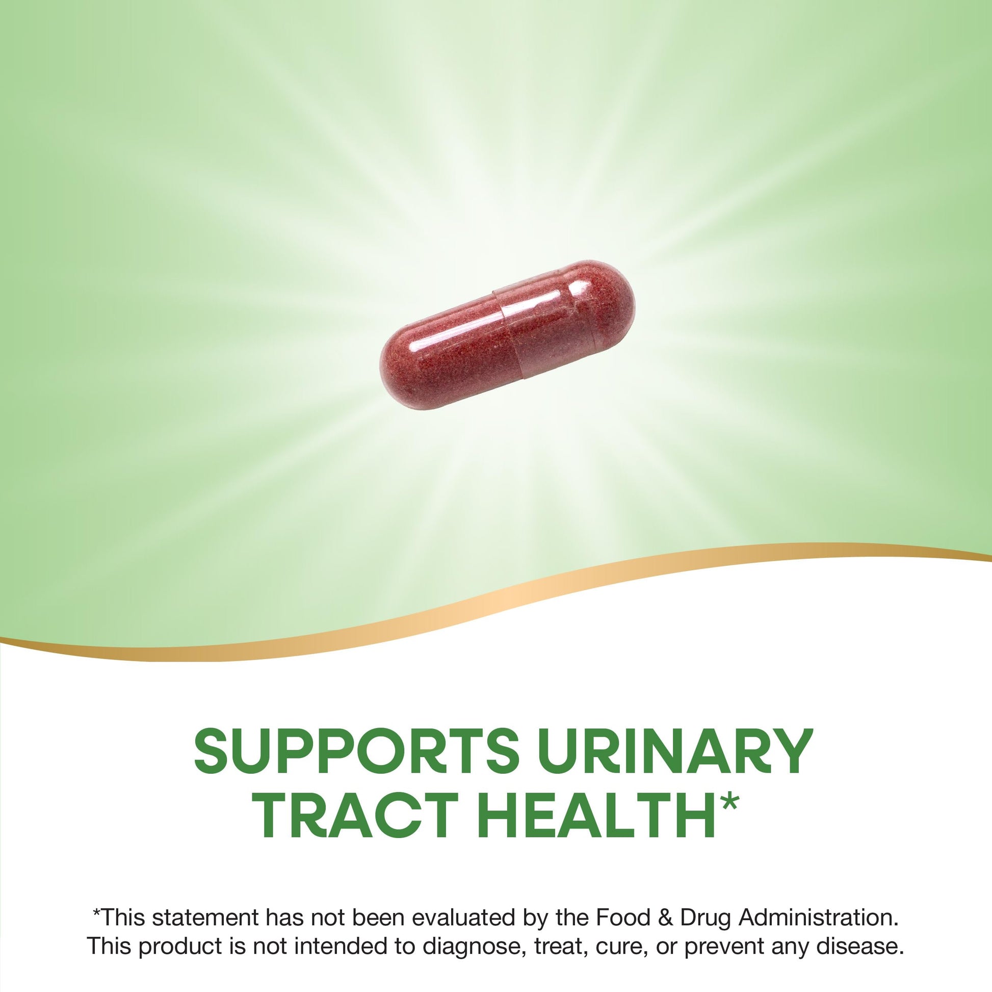 Premium USA imported cranberry capsules for urinary health close up