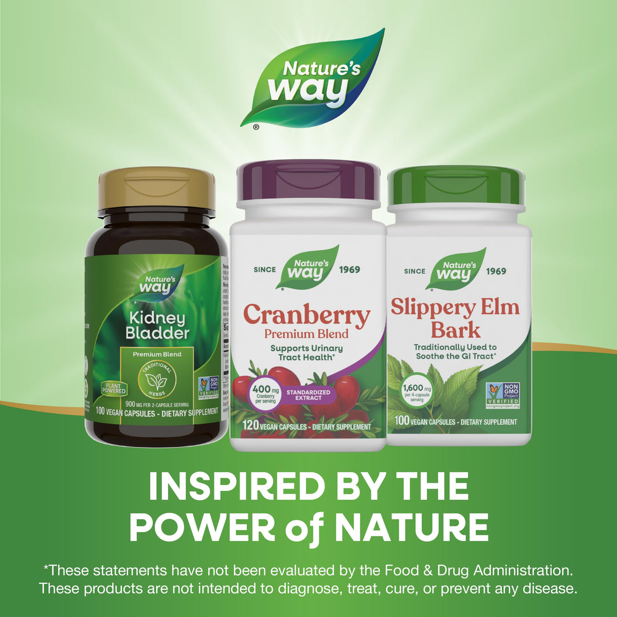 Nature's Way CranRx cranberry extract with Vitamin C ingredients list