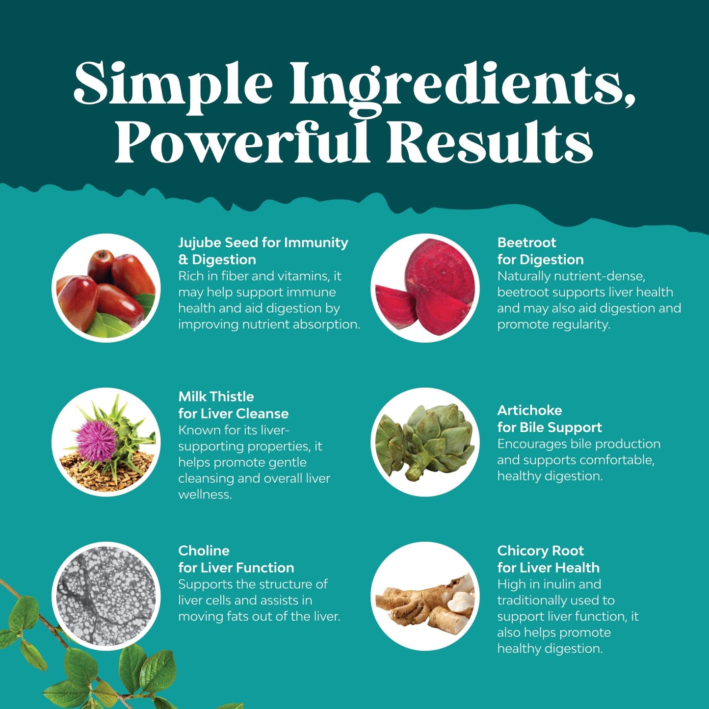 Side label of Nature's Craft herbal detox capsules outlining proper usage and safety directions