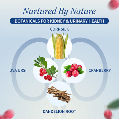 Snap Supplements Kidney Health Support uva ursi and cranberry capsules