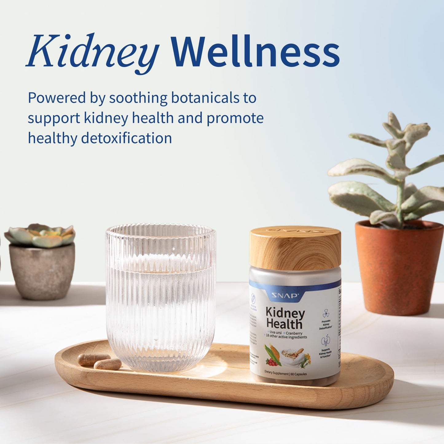 Snap Supplements Kidney Health Support kidney cleanse and detox supplement