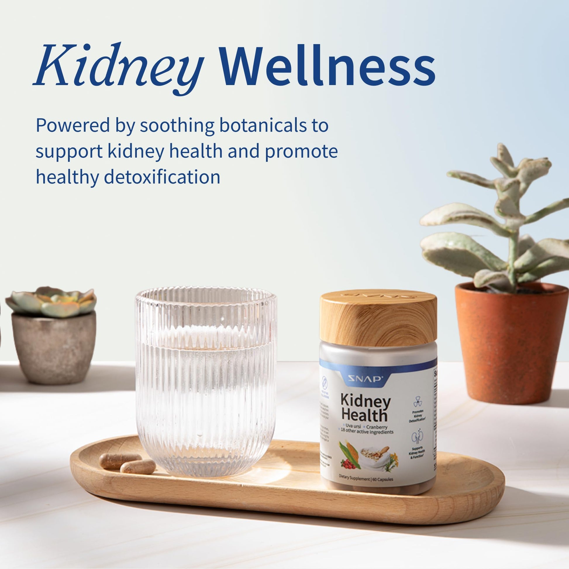 Snap Supplements Kidney Health Support kidney cleanse and detox supplement