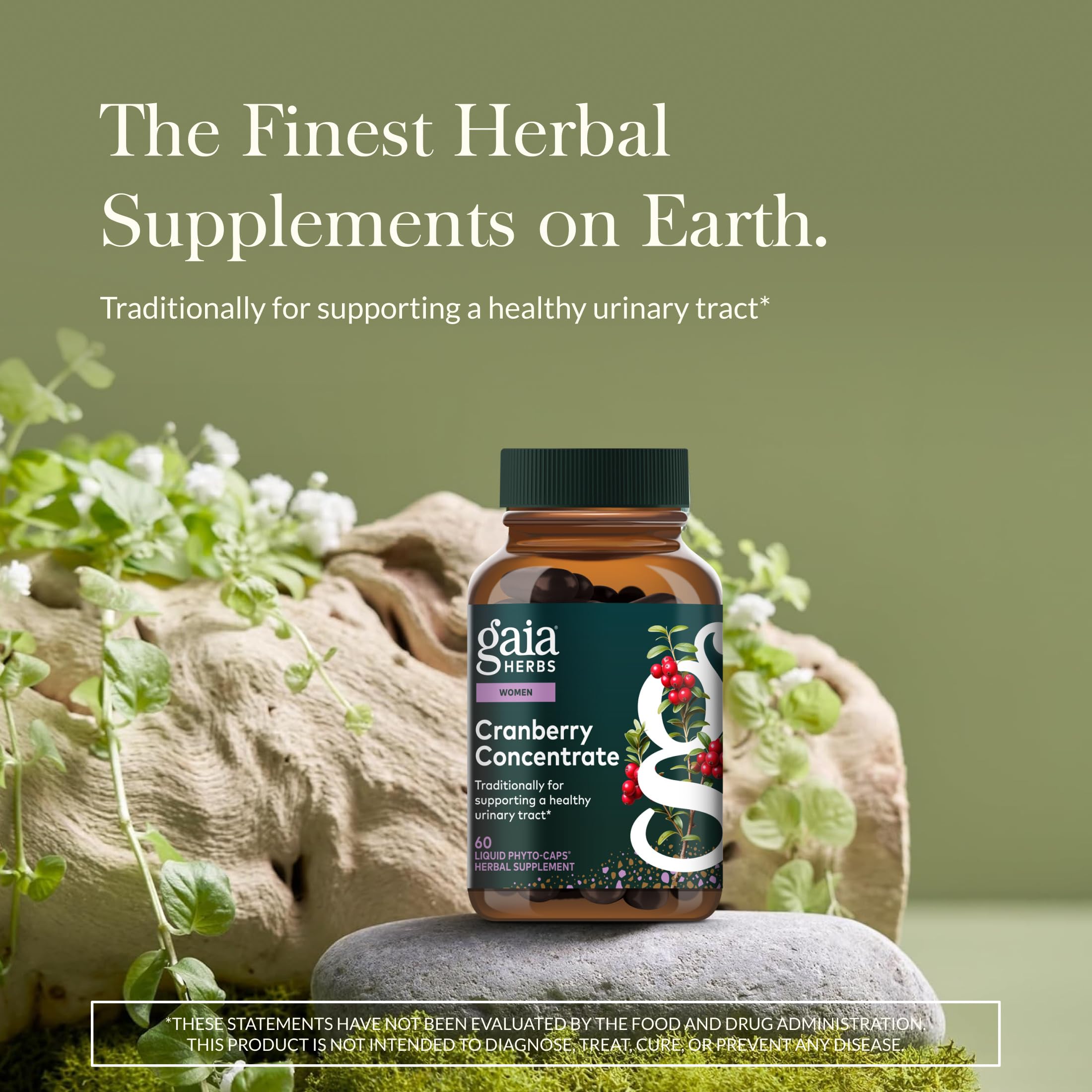 Gaia Herbs Cranberry Concentrate liquid phyto capsules showing organic ingredients list