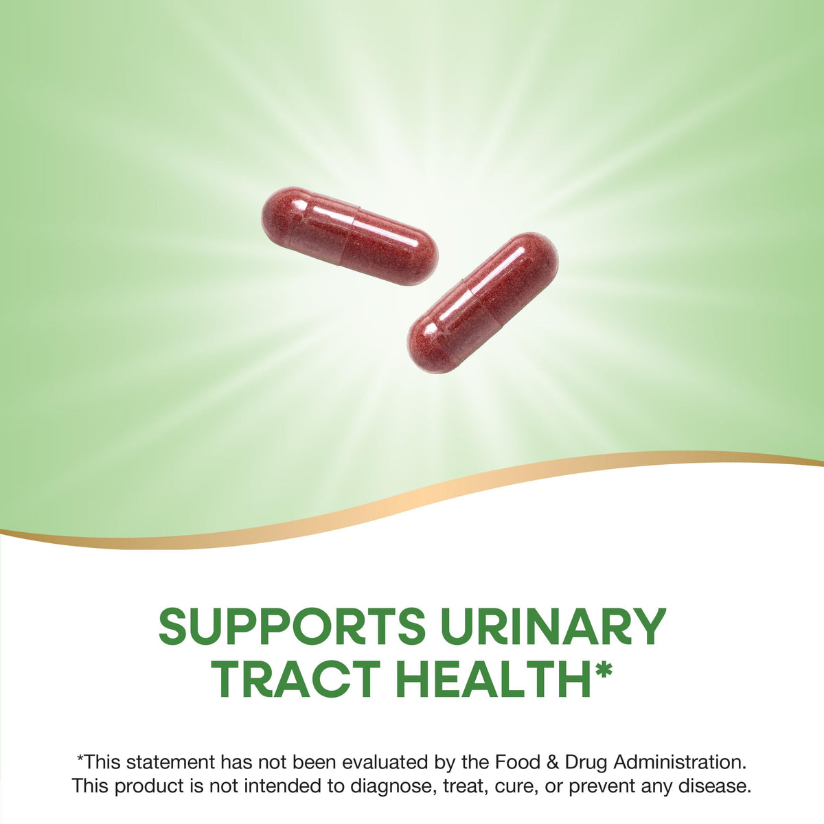 Back label of Nature's Way Cranberry capsules showcasing ingredients and non-GMO certification details.