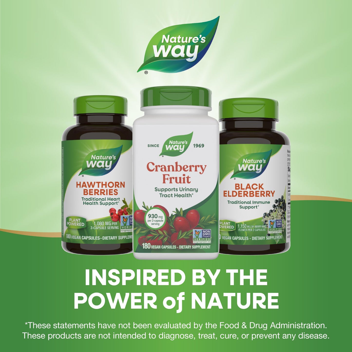 Product packaging for Nature's Way Cranberry Fruit emphasizing its gluten-free and dairy-free purity features.