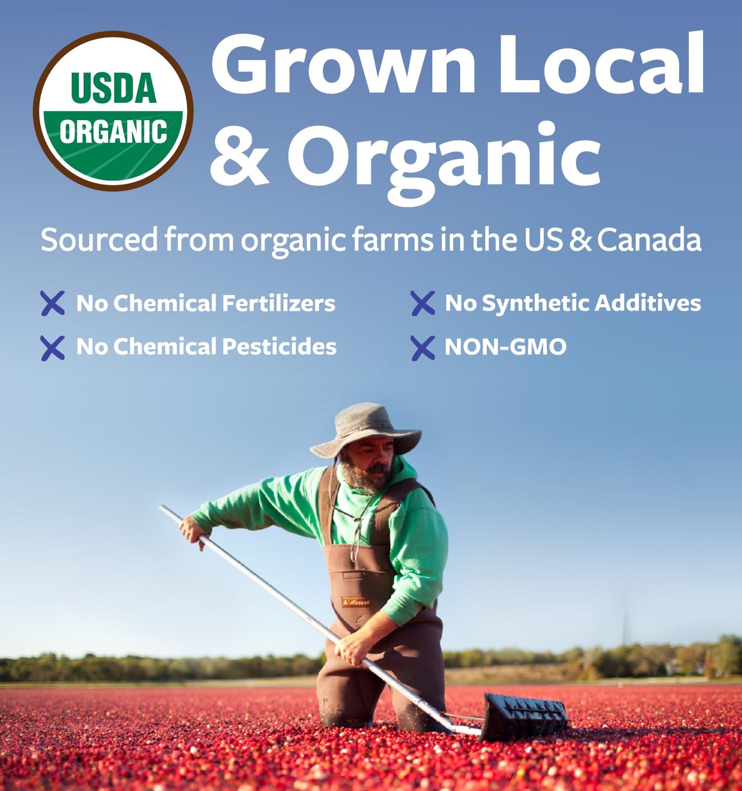 Pure Co Organic Cranberry Concentrate 50 to 1 potency
