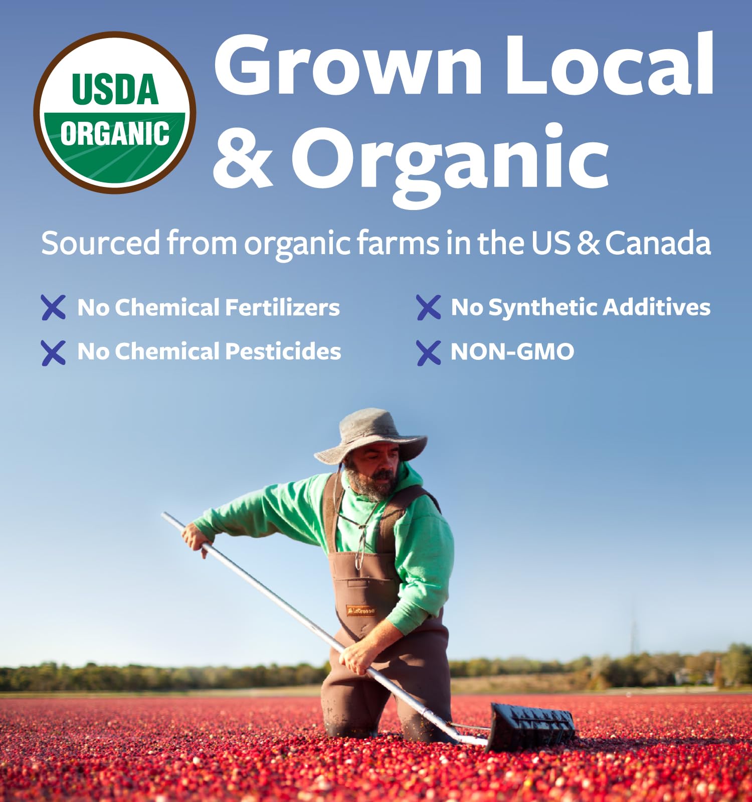 Pure Co Organic Cranberry Concentrate 50 to 1 potency
