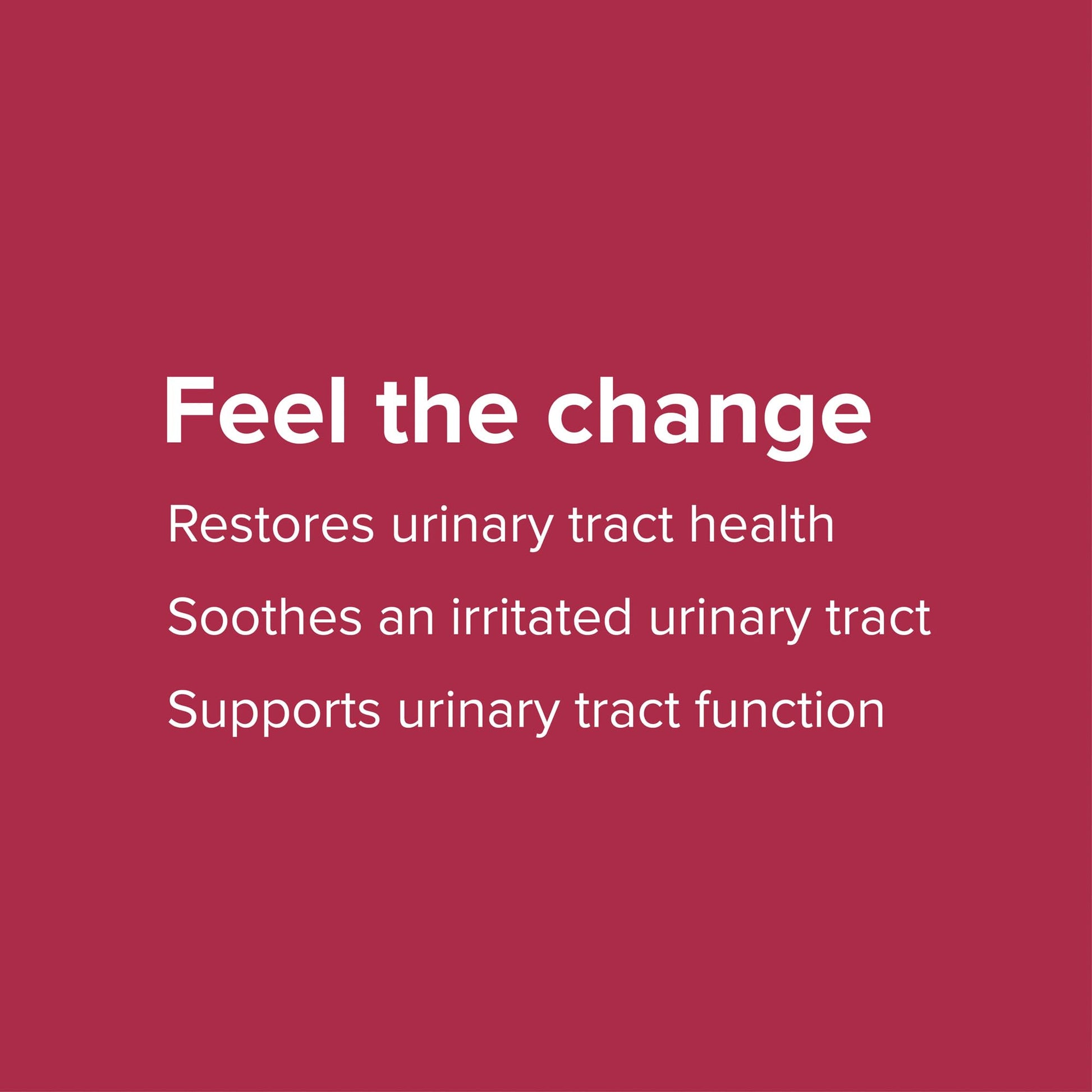 Imported Vibrant Health urinary tract support powder close-up bottle shot