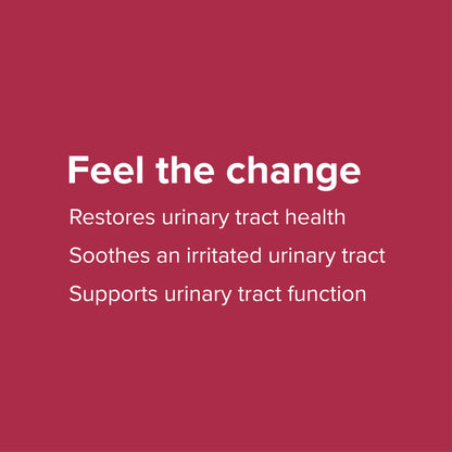 Imported Vibrant Health urinary tract support powder close-up bottle shot