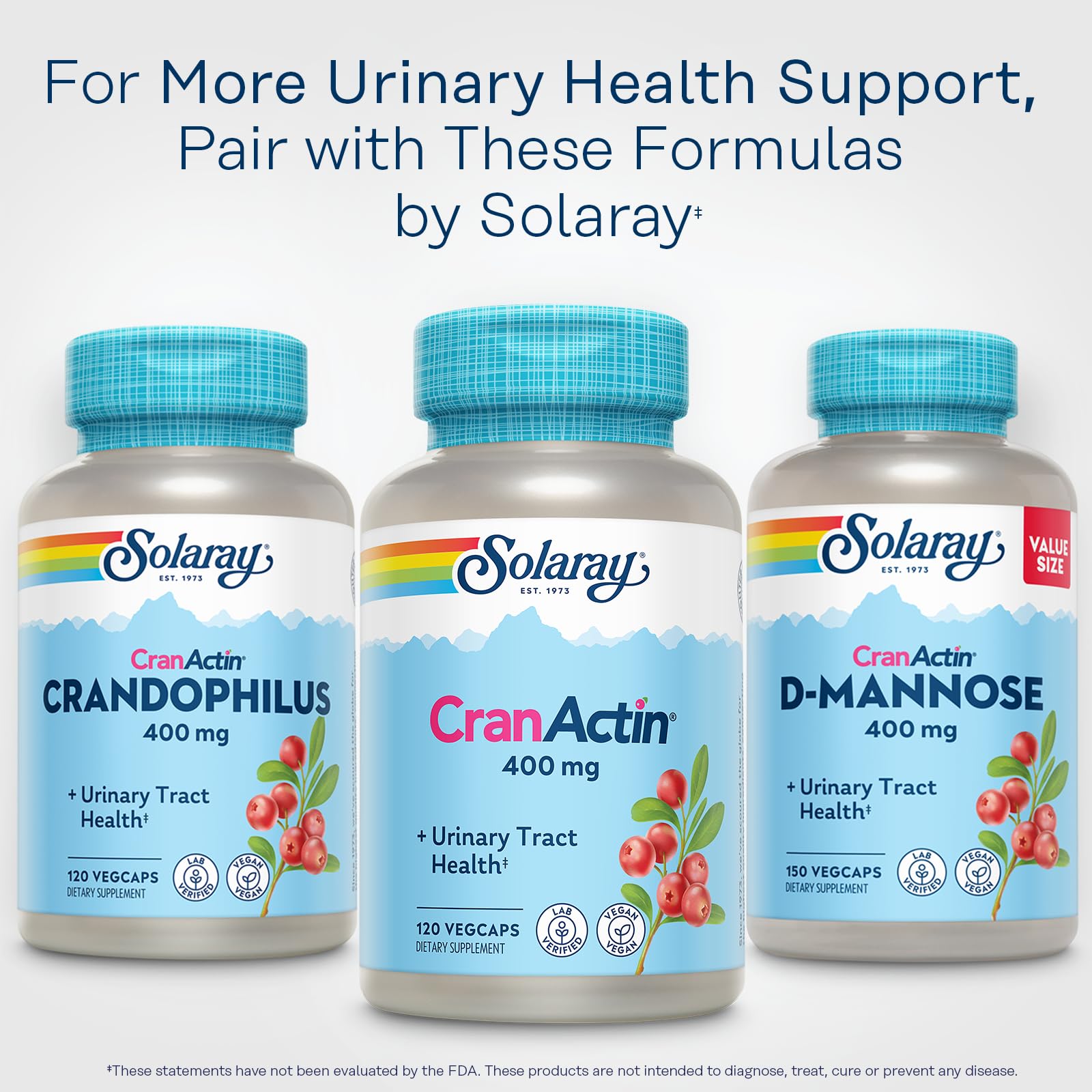 Solaray Cranberry extract with vitamin C vegan capsules for antioxidant defense