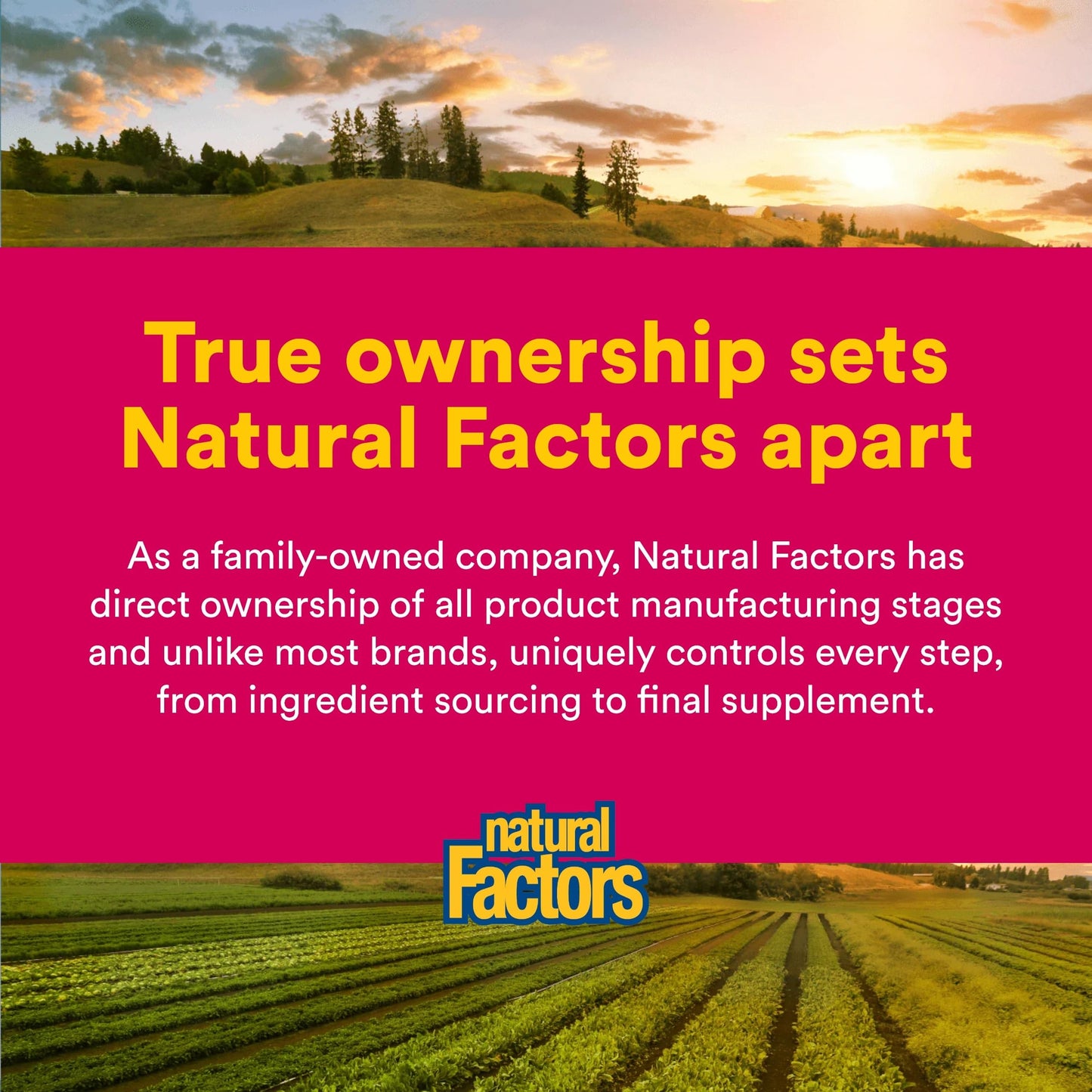Natural Factors CranRich Cranberry dietary supplement highlighting the sugar free alternative to cranberry juice