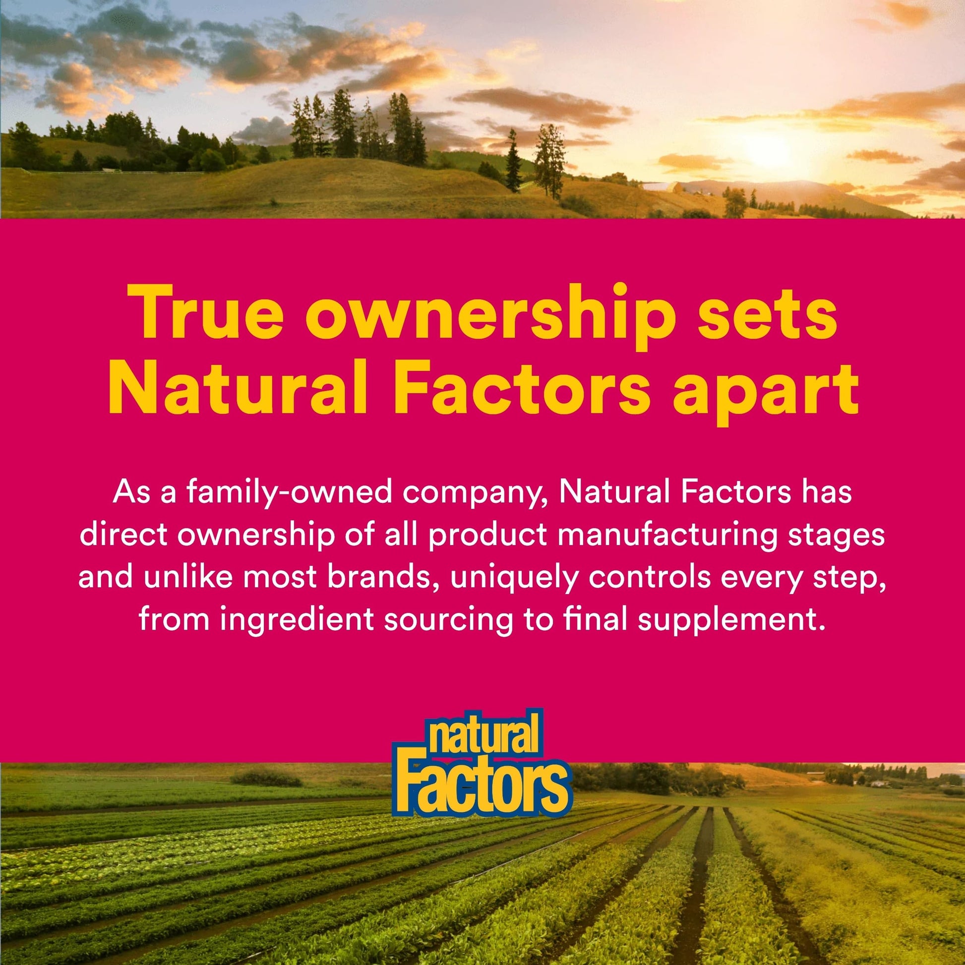 Natural Factors CranRich Cranberry dietary supplement highlighting the sugar free alternative to cranberry juice